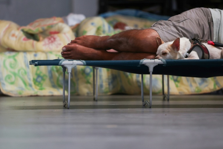 Un homme se repose sur un lit de camp avec son chien dans une salle au Porge, en Gironde, ouverte pour les personnes évacuées en raison de l'incendie qui sévit au nord du bassin d'Arcachon, le 23 juillet 2026 ( AFP / ROMAIN PERROCHEAU )