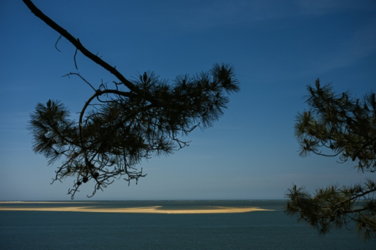 Vue du banc d'Arguin, îlot "mouvant" de sable près d'Arcachon, en Gironde, le 20 avril 2026 ( AFP / Philippe LOPEZ )