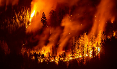 Un incendie de forêt près de Port Alberni (ouest du Canada) le 12 août 2025 ( AFP / Colby Rex O'Neill )