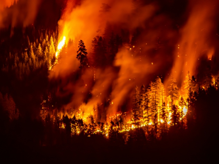 Un incendie de forêt près de Port Alberni (ouest du Canada) le 12 août 2025 ( AFP / Colby Rex O'Neill )
