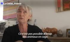 En Provence, l'extension d'un discret centre d'élevage de singes de laboratoire divise
