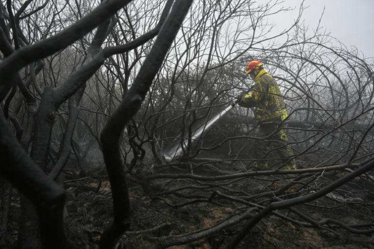 AUn pompier arrose le sol et la végétation calcinés lors d'une intervention contre un feu de forêt dans la réserve naturelle des Hautes Fagnes, près de Waimes, dans l'est de la Belgique, le 18 août 2026 ( AFP / JOHN THYS )