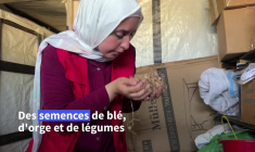 "Une lueur d'espoir": à Gaza, une banque de semences renaît dans les ruines de la guerre