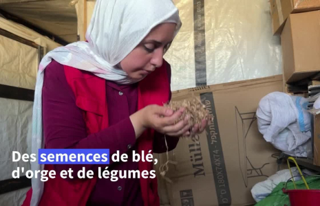"Une lueur d'espoir": à Gaza, une banque de semences renaît dans les ruines de la guerre