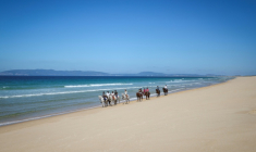 Des touristes se promènent à cheval sur la plage de Comporta, le 11 septembre 2025 au Portugal ( AFP / Patricia DE MELO MOREIRA )