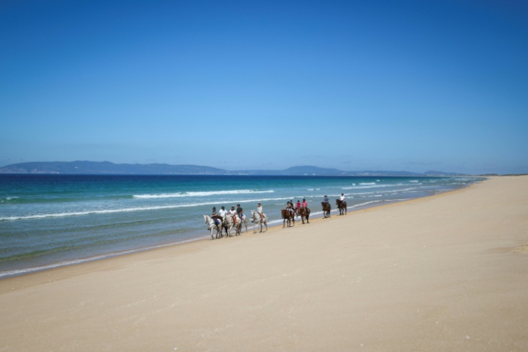 Des touristes se promènent à cheval sur la plage de Comporta, le 11 septembre 2025 au Portugal ( AFP / Patricia DE MELO MOREIRA )