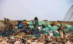 (Crédits: Unsplash - Amin Safaripour)