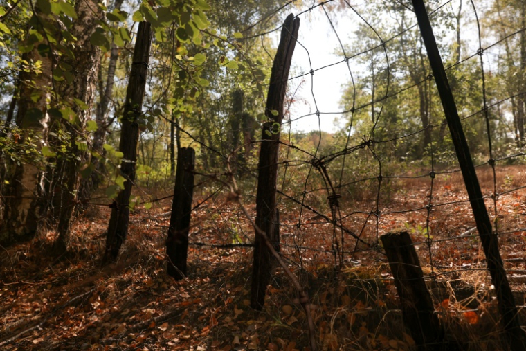 Un grillage métallique entourant une propriété privée dans la forêt de Sologne à  Brinon-sur-Sauldre, dans le Cher, le 26 août 2026 ( AFP / Alain JOCARD )