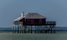 (Crédits photo : Wikimedia Commons - Grand Parc - Bordeaux, France )