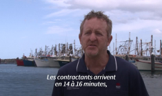 En Australie, la chasse aux requins pour les pucer