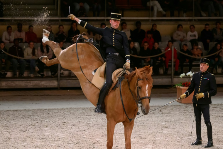 Des écuyers du Cadre Noir de Saumur lors d'un spectacle matinal, le 5 juin 2025 dans le Maine-et-Loire ( AFP / Loic VENANCE )