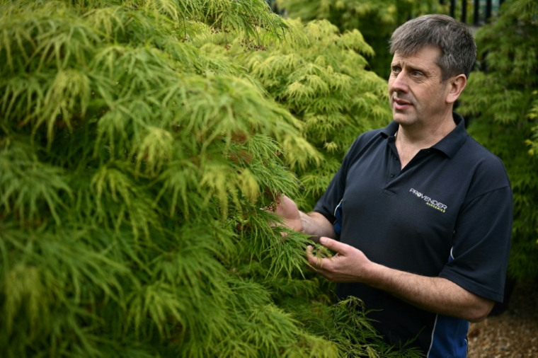 Richard McKenna, directeur général de la pépinière Provender, le 29 avril 2024 à Swanley, dans le sud-est de l'Angleterre ( AFP / Ben Stansall )