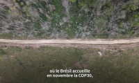 Brésil: qui met le feu à l'Amazonie ?