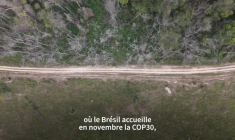 Brésil: qui met le feu à l'Amazonie ?