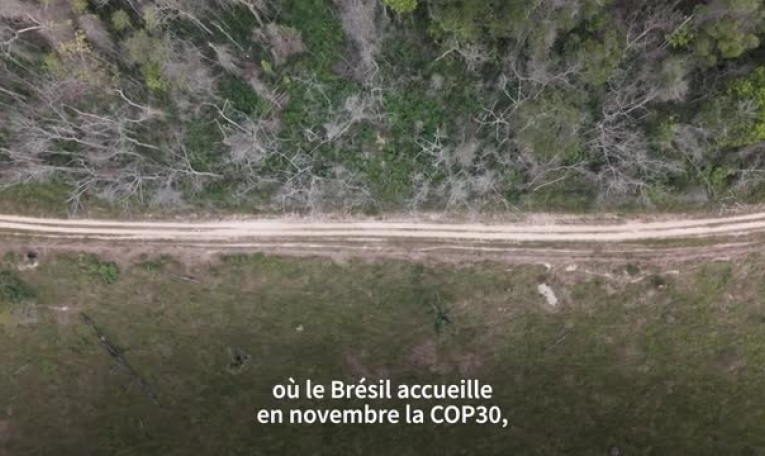 Brésil: qui met le feu à l'Amazonie ?
