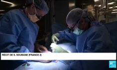 Un rein de porc greffé sur un humain, un succès et une première mondiale