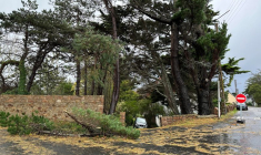 Un arbre tombé sur la route pendant la tempête Ciaran à Perros-Guirec, en Bretagne