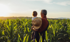 Il existe aujourd’hui de nouvelles méthodes pour voyager autrement que dans un avion crédit photo : Shutterstock