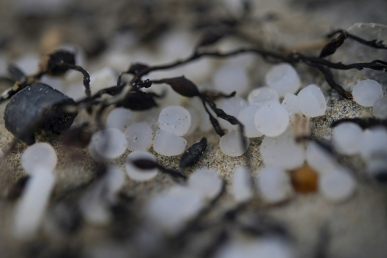 Des granules de plastique industriels, également appelés "larmes de sirène", le 15 février 2023 à Plomeur, dans l'ouest de la France ( AFP / FRED TANNEAU )