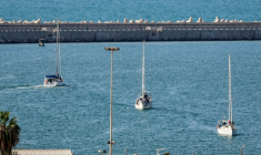 Des bateaux de la flottille pour Gaza interceptés par les forces navales israéliennes, arrivent dans le port d'Ashdod, dans le sud d'Israël, le 2 octobre 2025 ( AFP / Saeed QAQ )