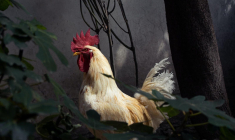 (Crédits: Unsplash - Iñaki G. Vázquez)