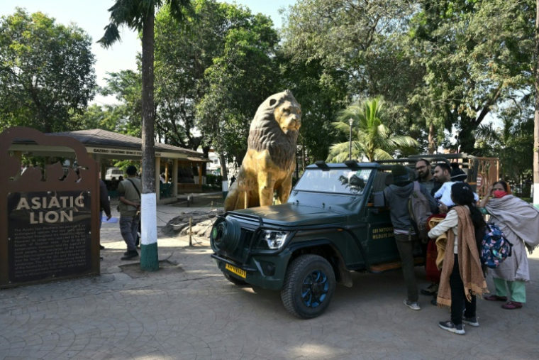 Des touristes discutent le 10 novembre 2025 autour d'un 4X4 garé près d'une statue de lion, dans le Parc national de Gir, dans l'Etat du Gujarat, dans l'ouest de l'Inde ( AFP / Indranil MUKHERJEE )