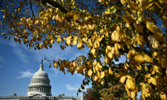 Le Capitole de Washington, siège du Congrès américain, le 5 novembre 2025 ( AFP / Mandel NGAN )