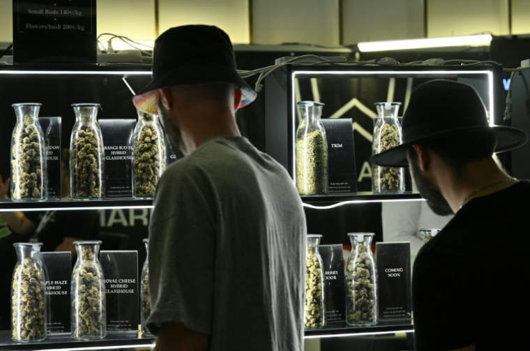 Des visiteurs regardent des produits exposés au premier salon du CBD, le 21 mai 2022 à Paris ( AFP / Emmanuel DUNAND )