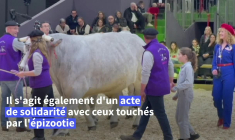 "Un coup dur": le Salon de l'agriculture bousculé par l'absence inédite de vaches