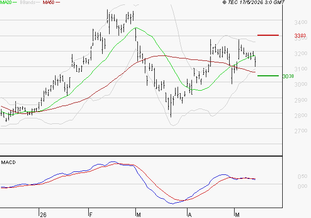 MICHELIN : Une consolidation vers les supports est probable