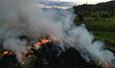 Un champ en feu à Sao Felix do Xingu, en Amazonie, dans le nord du Brésil, le 20 juin 2025 ( AFP / Nelson ALMEIDA )