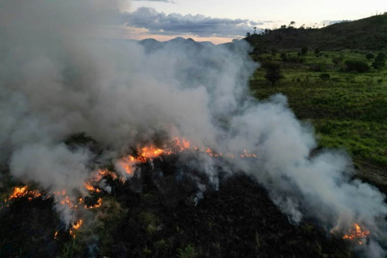 Un champ en feu à Sao Felix do Xingu, en Amazonie, dans le nord du Brésil, le 20 juin 2025 ( AFP / Nelson ALMEIDA )
