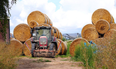 Le crédit d'impôt pour l'agriculture bio devrait être renforcé en 2023.  (Matthiasboeckel / Pixabay)