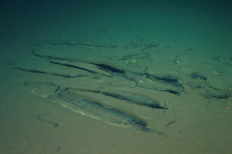 Photo prise par "Global TREnD, IDSSE" et diffusée le 10 juin 2026 montrant le plus grand cimetière de baleines connu au monde, découvert par le submersible chinois Fendouzhe, à sept kilomètres de profondeur dans l'océan Indien  ( Global TREnD, IDSSE / Handout )