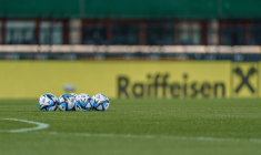 Leader du championnat en novembre, Sandhausen est relégué en quatrième division