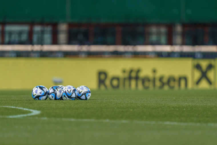 Leader du championnat en novembre, Sandhausen est relégué en quatrième division