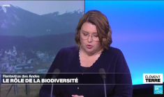 Hantavirus: les attaques contre la biodiversité augmentent le risque de zoonoses
