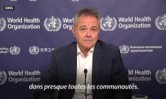 Violences sexuelles ou conjugales: près d'une femme sur trois concernée, selon l'OMS