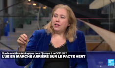 Pacte vert : quelle ambition écologique pour l’Europe à la COP30 ?