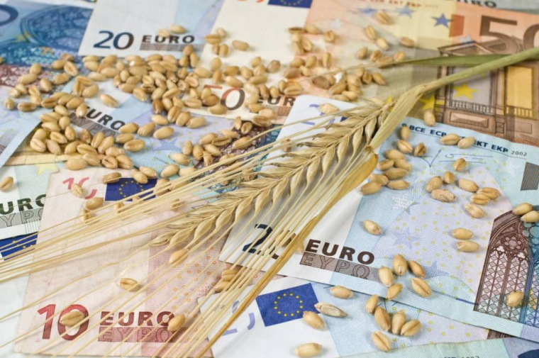 Investissement sur les matières premières : comment faire ? / iStock.com - anasimin