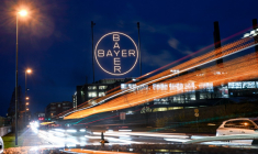 ( AFP / INA FASSBENDER )