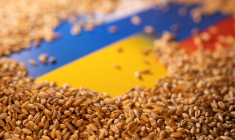UKRAINE: 75 MILLIONS DE TONNES DE CÉRÉALES POURRAIENT ÊTRE BLOQUÉES D'ICI L'AUTOMNE, DIT ZELENSKY