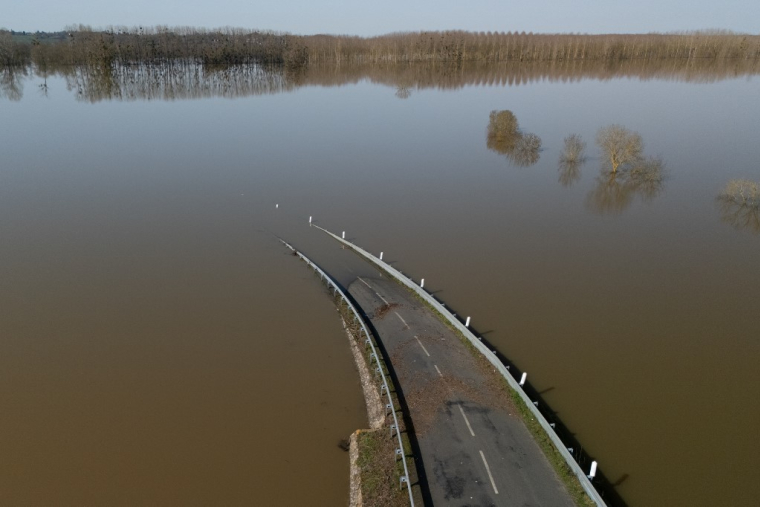 Briollay, le 25 février 2026. ( AFP / LOIC VENANCE )