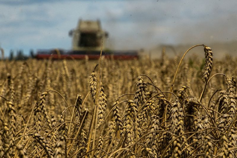 UKRAINE: LES EXPORTATIONS DE CÉRÉALES POUR 2022-2023 EN RECUL DE PLUS DE 50%