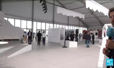 Salon du Bourget : comment décarboner le secteur de l'aviation ?