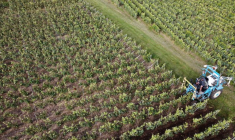 LA PRODUCTION AGRICOLE POURRAIT CHUTER JUSQU'À 30% CETTE ANNÉE