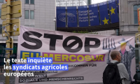 Accord UE/Mercosur: manifestation devant le Parlement européen