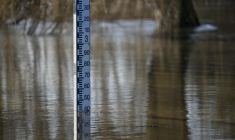 ( AFP / LOU BENOIST )