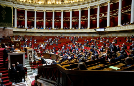 L'Assemblée nationale a adopté en première lecture un texte pour réguler l'installation des médecins pour lutter contre les "déserts médicaux", porté par un groupe transpartisan de plus de 250 députés ( AFP / Ludovic MARIN )