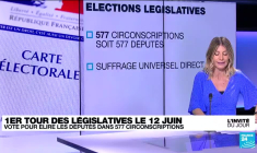 Législatives en France : quelles sont les grands enjeux du scrutin ?